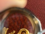 a person holding a magnifying glass with a gold dragon in it