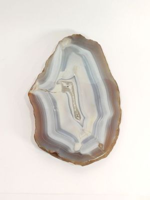 une photo d'une tranche d'agate posée sur une surface blanche
