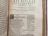 an open book on a white surface with a picture of an animal