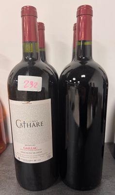 deux bouteilles de vin posées sur un comptoir