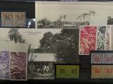 une photo d'une collection de timbres exposée dans une vitrine