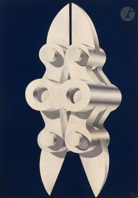 an image of a poster with a bunch of toilet paper rolls hanging from a pole