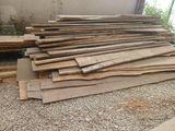 un tas de bois posé sur le sol à côté d'un bâtiment