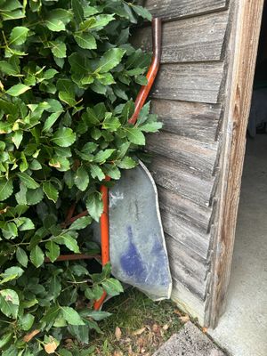 une brouette appuyée contre un mur, à côté d'un buisson