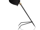 an image of a black and gold lamp on a white background