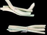 two pieces of white bananas on a black background