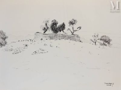 dessin représentant un paysage avec des arbres et une colline au loin