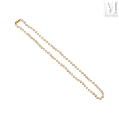 un collier de perles avec un fermoir en or sur fond blanc