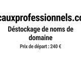 Photo 1/1 du lot