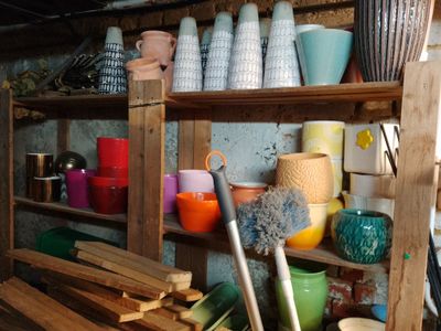 many different colored vases on the shelves in this room