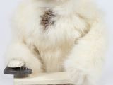 un chat blanc assis sur une chaise, tenant une télécommande entre ses pattes
