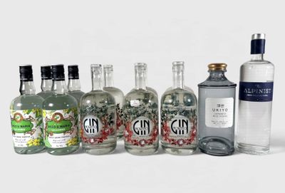 Des bouteilles de gin sont alignées sur une surface blanche
