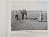 a black and white photo of a man plowing a field with a camel