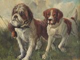un tableau représentant deux chiens dans un champ, un bâton dans la gueule