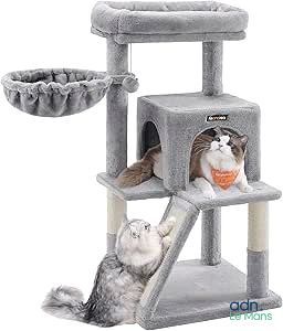 Deux chats jouent avec un arbre à chat sur un fond blanc.