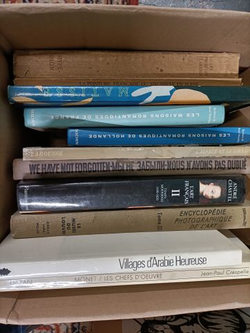 1 carton de livres illustrés (voyages)