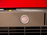 a close up of the emblem on the front of a red car