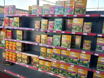 many boxes of tea on the shelves in the store
