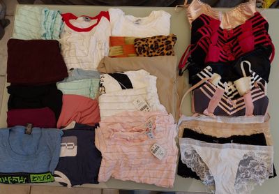 lot de 35 articles soit 11 articles de lingeries + 24 vêtement