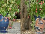 two vases with flowers in them sitting on the ground