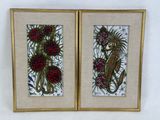 deux photos encadrées représentant un hippocampe et un hippocampe entouré de fleurs