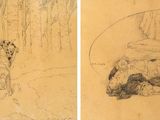 two drawings of a dog and a cat on the same page