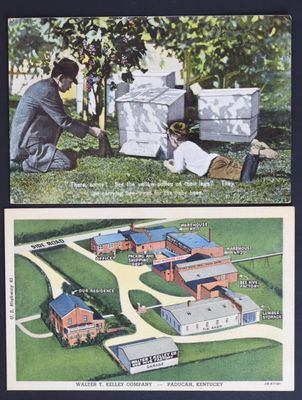 deux photos d'un homme et d'une femme travaillant sur un projet