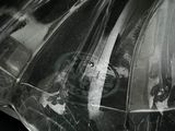 a black and white photo of a couple of umbrellas in the rain