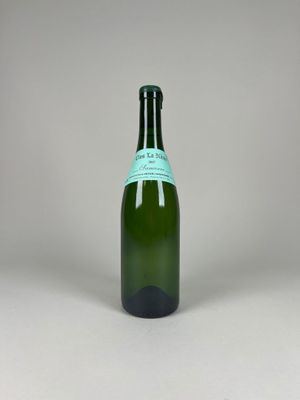 the bottle is empty and ready to be filled with wine