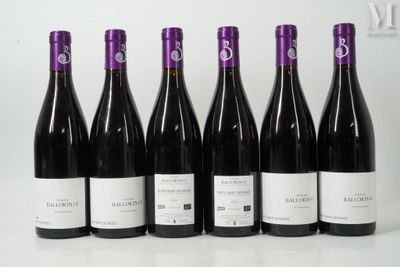 six bouteilles de vin sont alignées sur une table