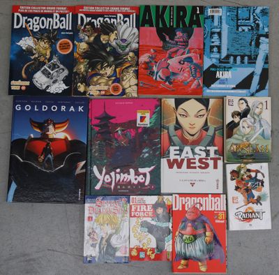 MANGA, lot de 47 albums tous formats dont 32 volumes Dragon … - Photo 1