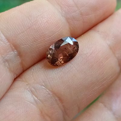 une image représentant une personne tenant un diamant brun dans la main