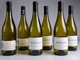 six bouteilles de vin blanc alignées sur une table