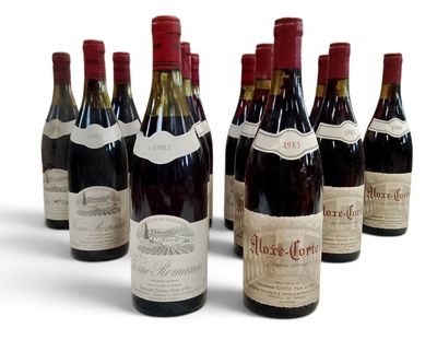six bouteilles de vin sont alignées sur une surface blanche