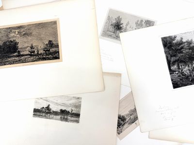 several black and white photographs of trees and buildings on a white surface