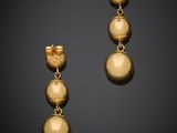 a pair of gold plated earrings