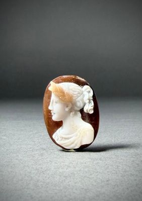 a close up of a white and brown cameo of a woman