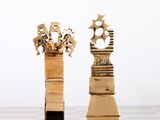 Photo 9/10 du lot