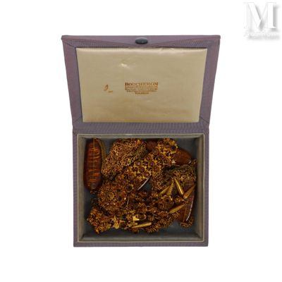 une boîte contenant de la nourriture