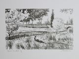 a black and white drawing of a landscape with a bridge