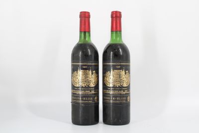 deux bouteilles de vin rouge posées l'une à côté de l'autre sur une surface blanche