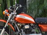 an orange motorcycle parked next to a cactus plant