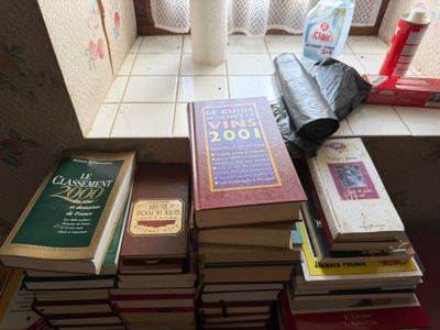 beaucoup de livres posés sur le rebord d'une fenêtre