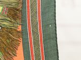 a close up of a green and orange scarf with a lion on it