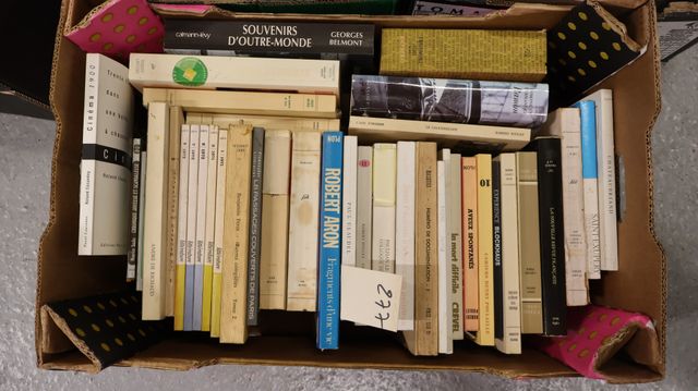 Lot de livres sur la littérature et revue littéraire.