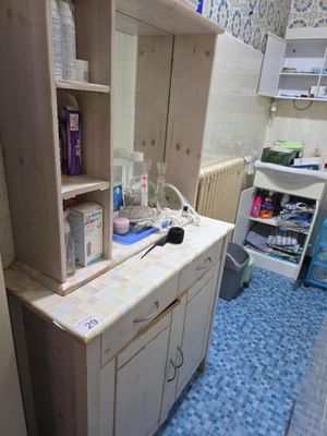 une salle de bains équipée d'un lavabo, d'un miroir, de placards et d'autres éléments posés sur le plan de travail
