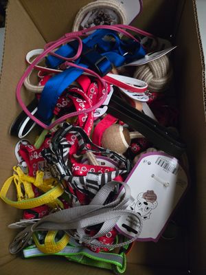 une boîte remplie d'élastiques à cheveux et de ciseaux de toutes sortes