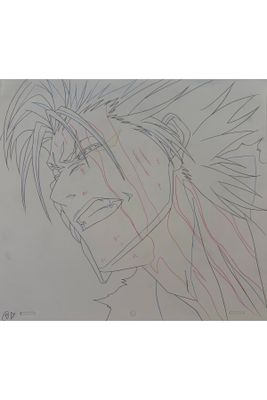 drawing of a man with long hair and a face with a mohawk