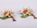 une paire de fleurs blanches et roses accompagnées de feuilles vertes sur un fond blanc