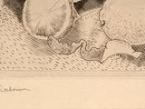 a pencil drawing of a cat sitting on a table